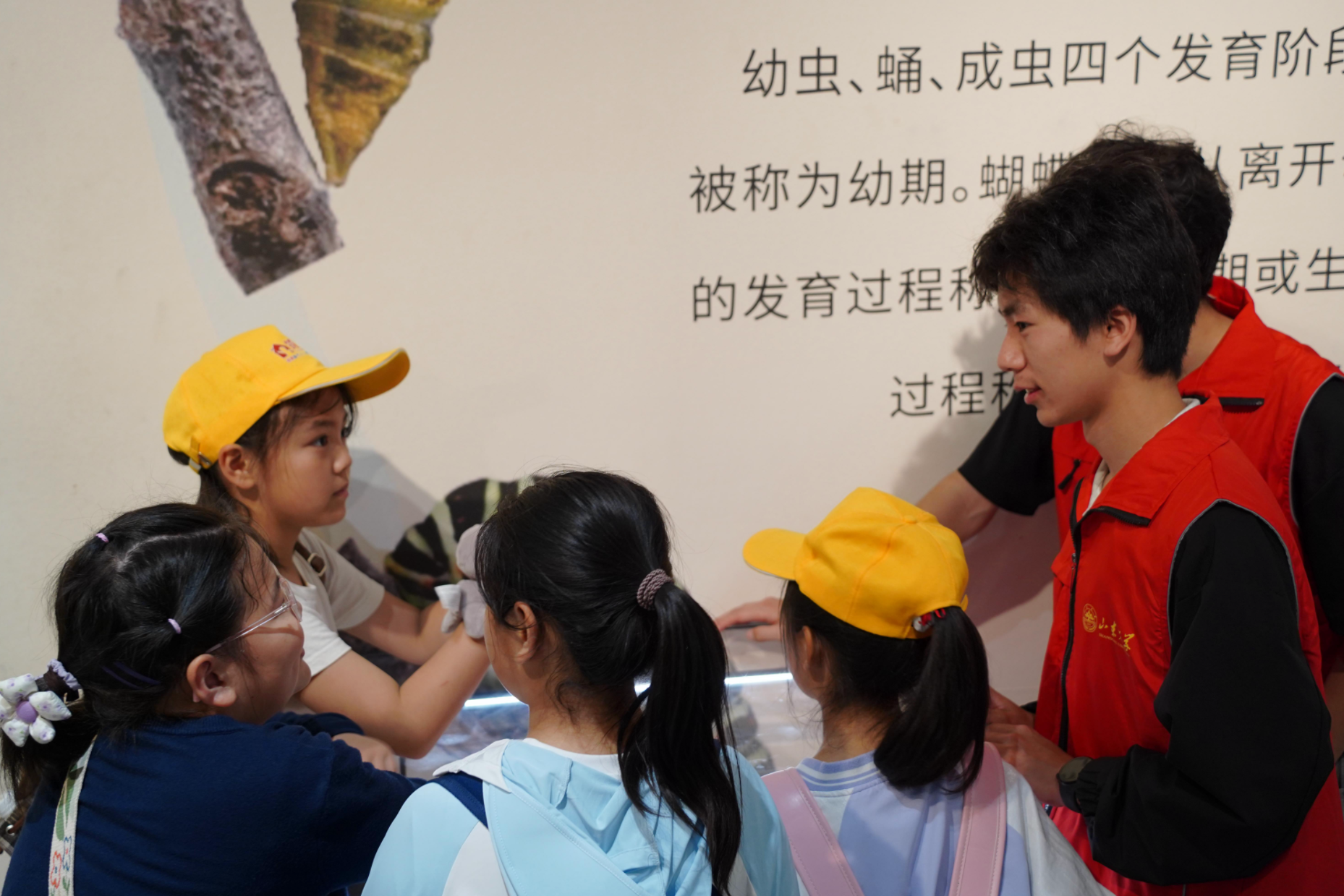 图片 4.png